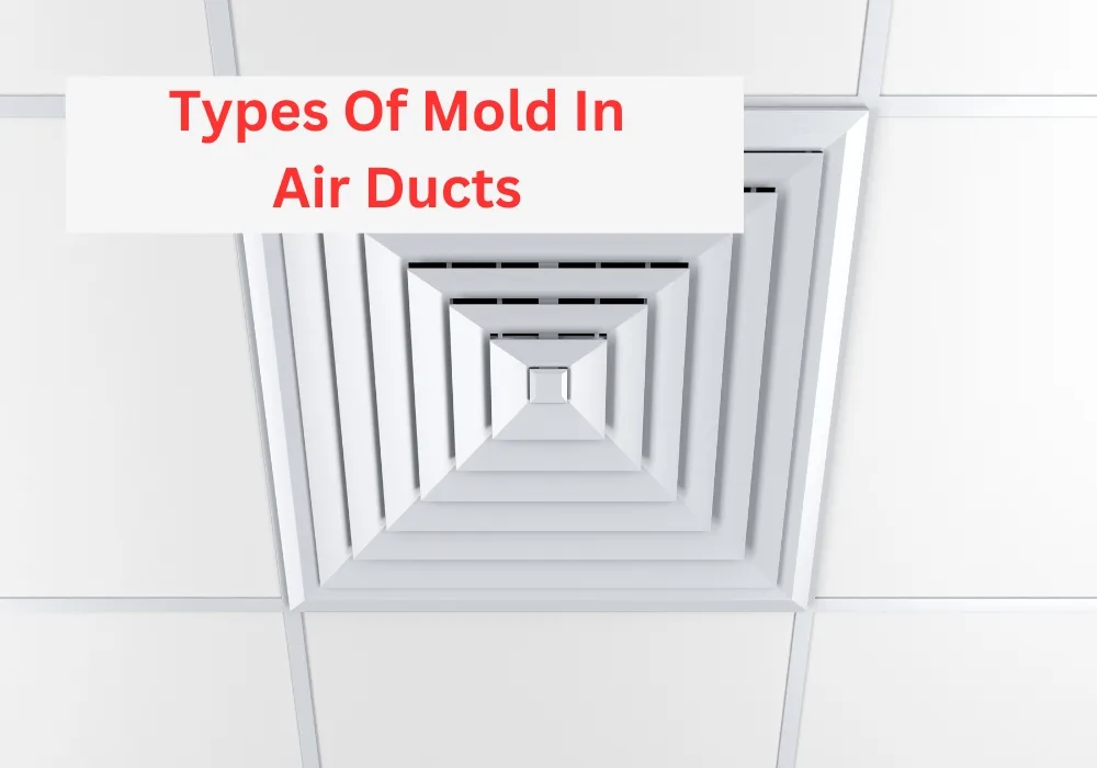 Types Of Mold In Air Ducts