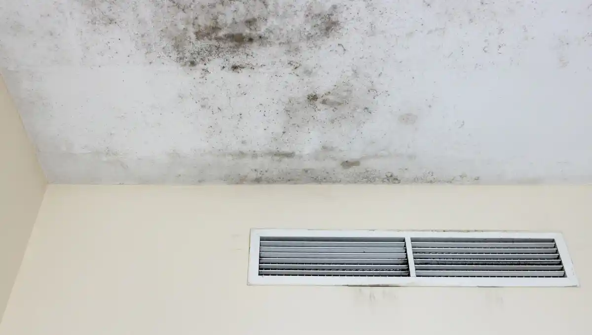 Symptoms of Mold in Air Vents